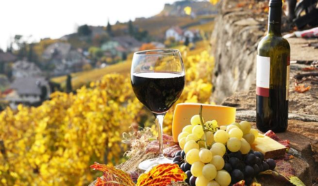 importaciones vino embotellado crecimiento industria