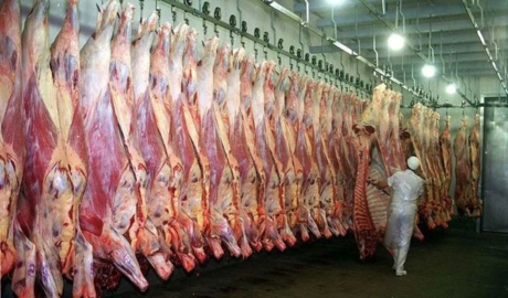Las exportaciones de carne vacuna superan los u$s1.000 millones