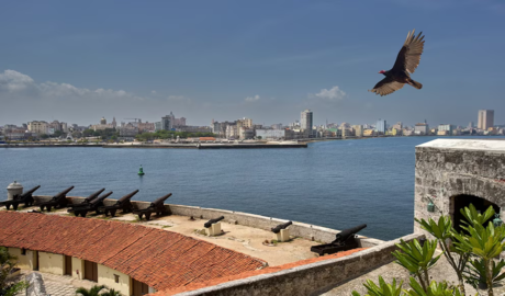 navieras frenan reservas de carga con Cuba