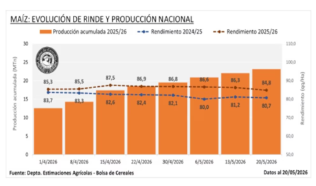 maíz récord de producción