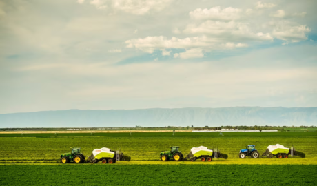 exportación de alfalfa en Argentina 2026