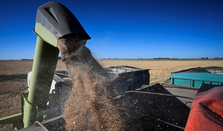 reducción retenciones agro biocombustibles