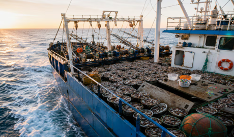 flotas extranjeras pesca argentina