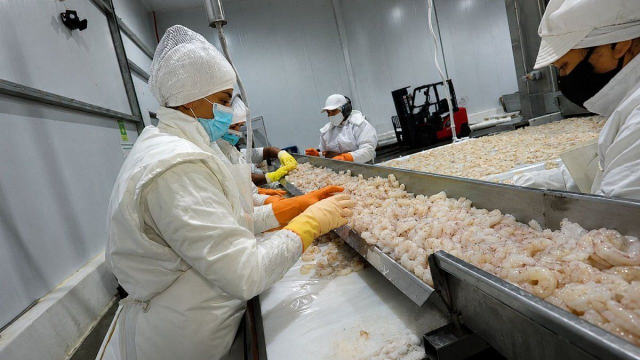 Nueva operación en la pesca fortalece la producción, la logística y el empleo en Chubut