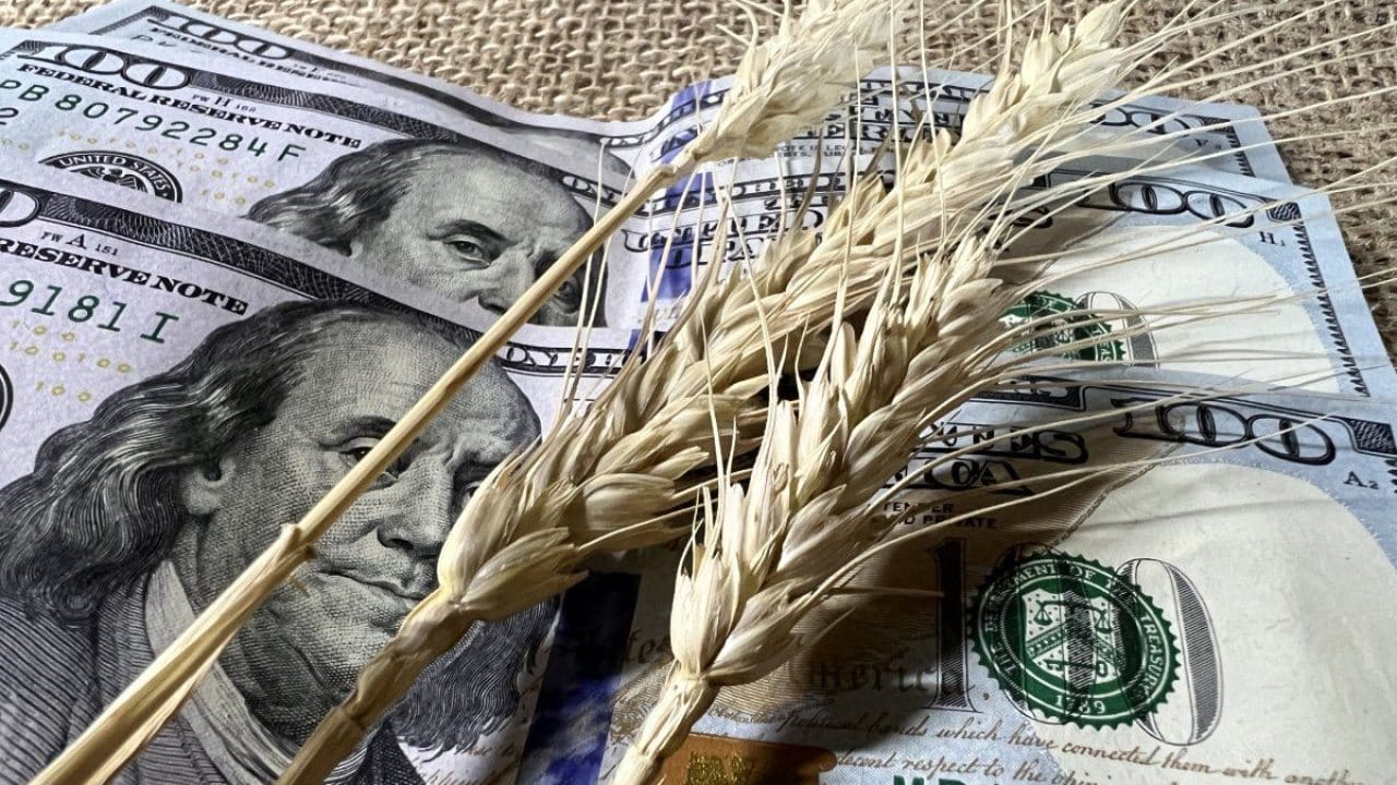 precios del trigo y la soja