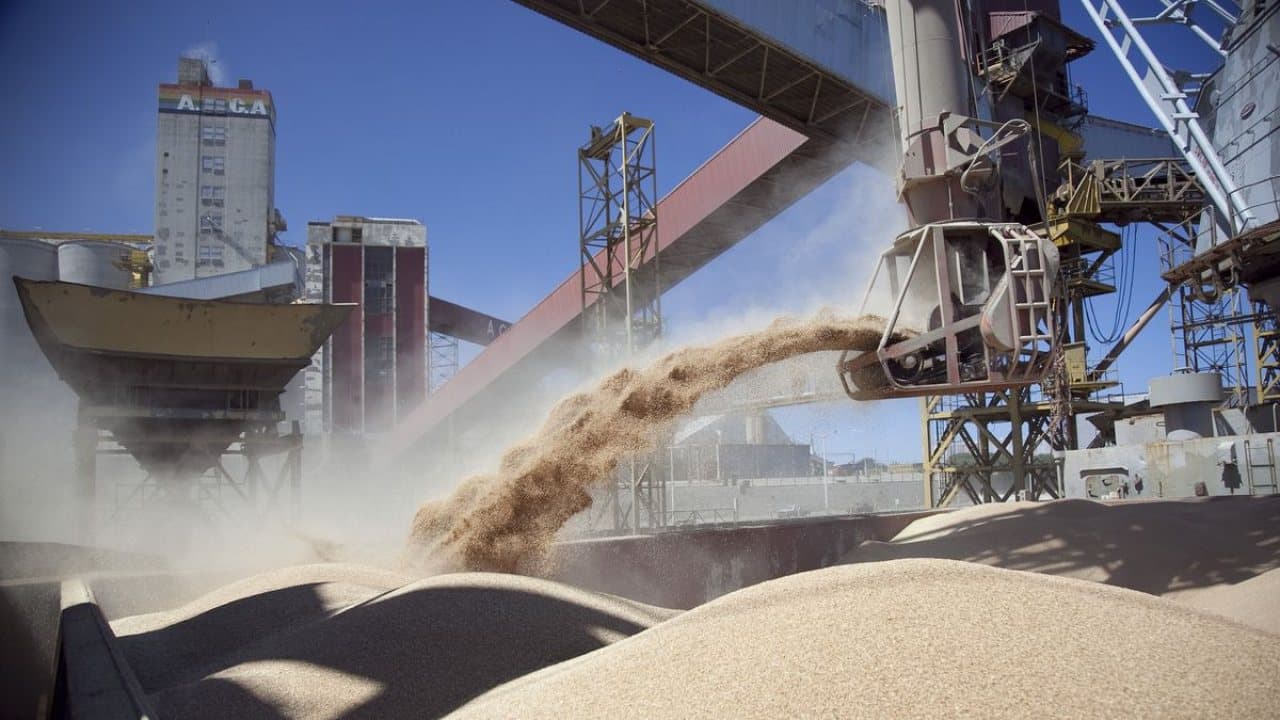 El precio de la soja toca máximos desde mayo y se acerca a los u$s440 por tonelada