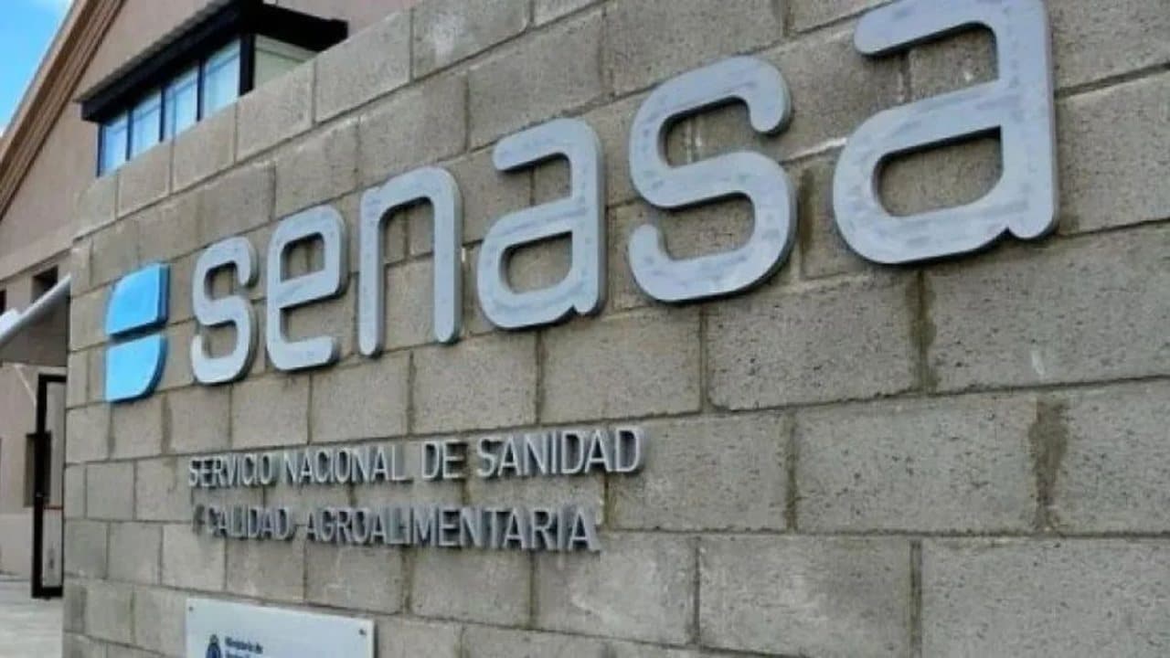 importar alimentos