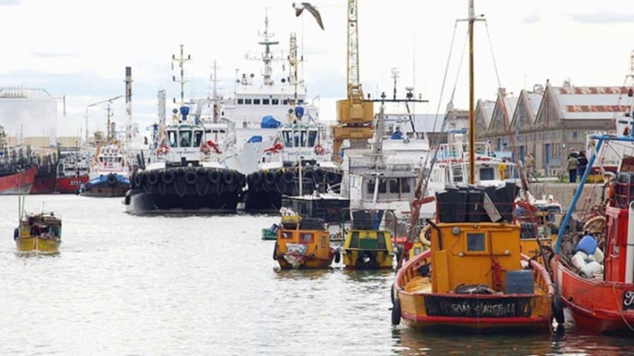 Cámara de Puertos Privados denuncia incumplimiento conciliación obligatoria: Una crisis que paraliza el comercio exterior