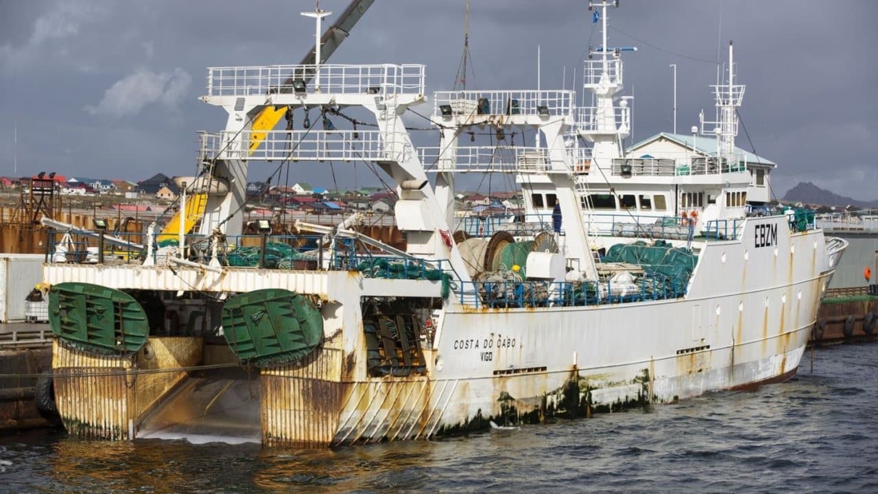 pesca ilegal