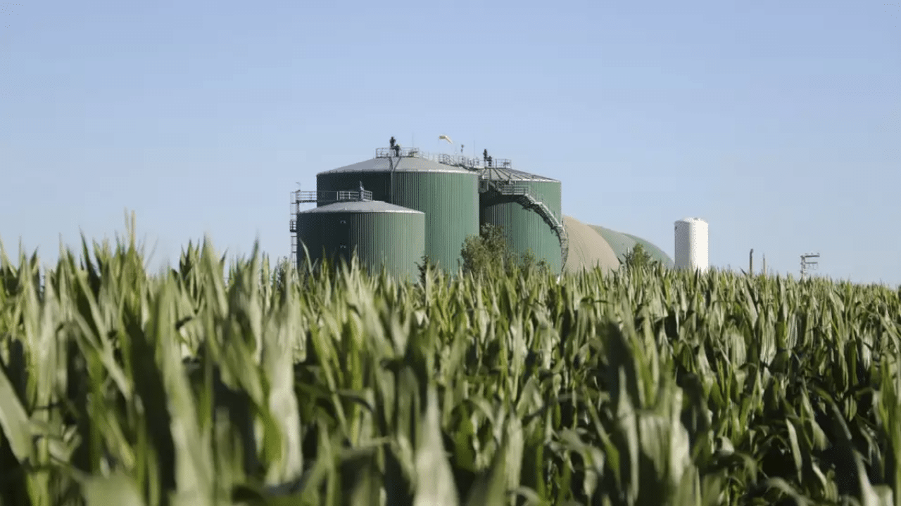 El sector agroindustrial festeja la media sanción del Senado a la nueva ley de Biocombustibles