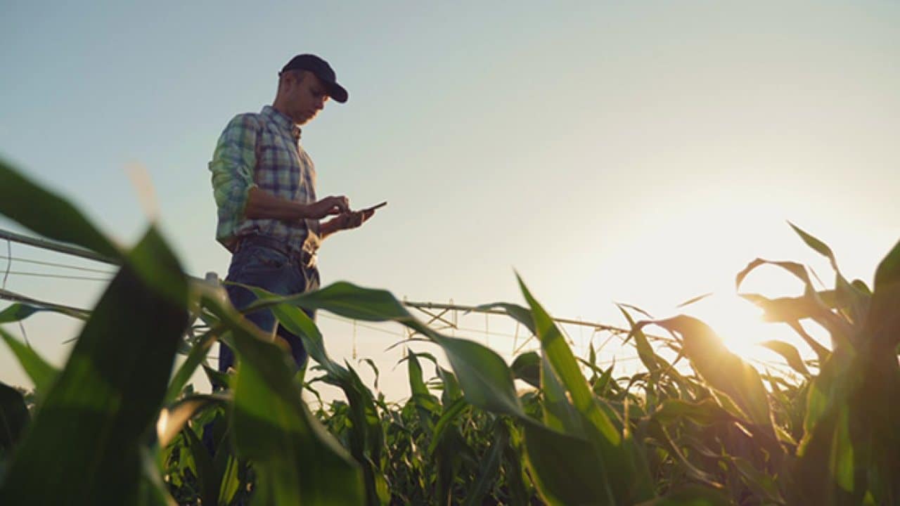 Los productores agropecuarios y la toma de decisiones en el 2026: que revela el informe de McKinsey