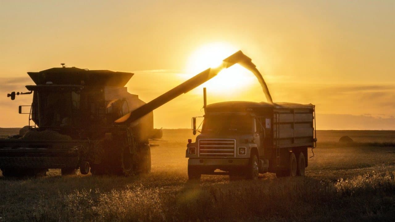 Presupuesto nacional 2027 y el sector agropecuario: claves del nuevo esquema fiscal
