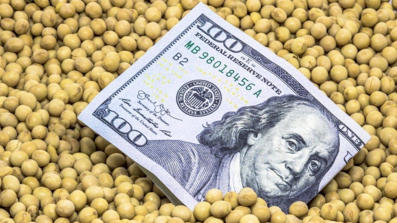 Exportaciones agro 2027: proyectan un record histórico pero advierten que faltan dólares